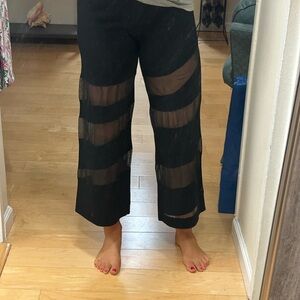 Cult Gaia Black Mesh Track Pants